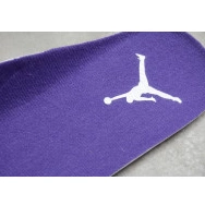 4 CT8527-115 Purple Court Air Jordan 0815